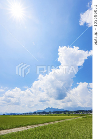 蔵王と田園風景 105596031