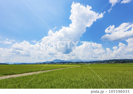 蔵王と田園風景 蔵王と田園風景 105596035