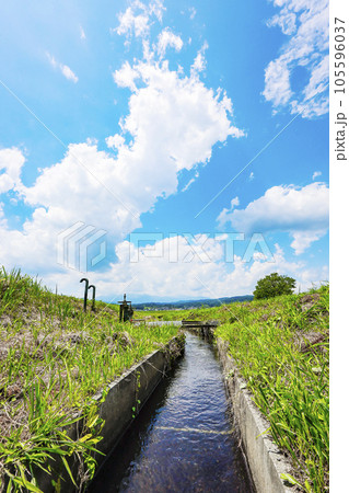 蔵王と田園風景 105596037