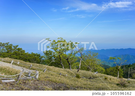 日出ヶ岳で見た新緑の若葉の木々と熊野灘のコラボ情景 105596162