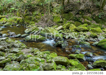赤目四十八滝で見た苔むした岩に囲まれた涼し気な滝の情景 105596166