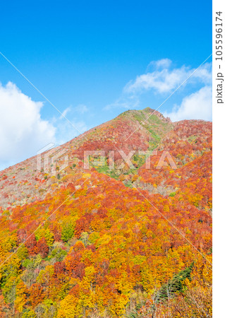 秋の磐梯山登山：猪苗代登山口～赤埴山（登山道から磐梯山を望む） 105596174