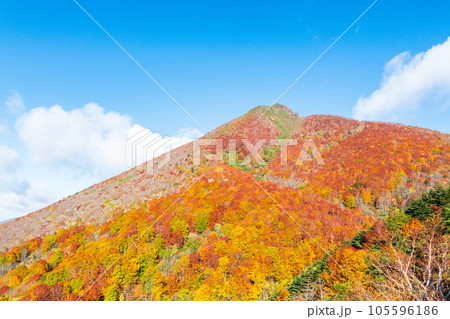 秋の磐梯山登山：猪苗代登山口～赤埴山（登山道から磐梯山を望む） 105596186