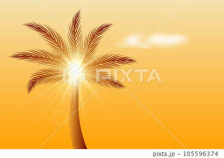 Golden palm tree natural landscape with sunlight, sun ray, and white clouds 105596374
