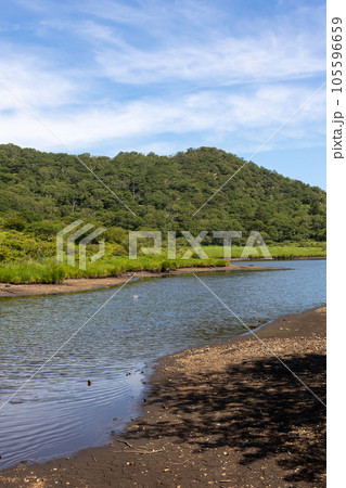 夏の赤城山 覚満淵 夏の赤城山 覚満淵 105596659