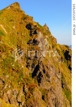 秋山登山・紅葉シーズンの谷川岳西黒尾根から見た山頂 105597605