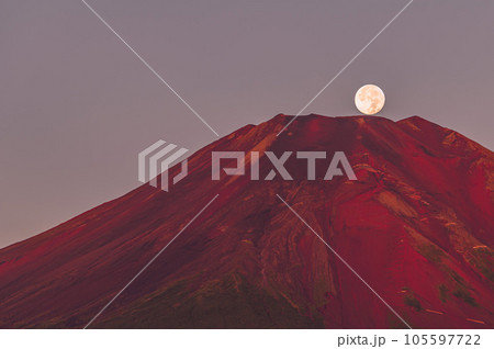 （パール富士）朝焼けに染まる富士山頂と沈む満月 105597722