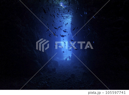 沖縄・恩納村・青の洞窟とハタンポの群れ（シルエット.4 105597741