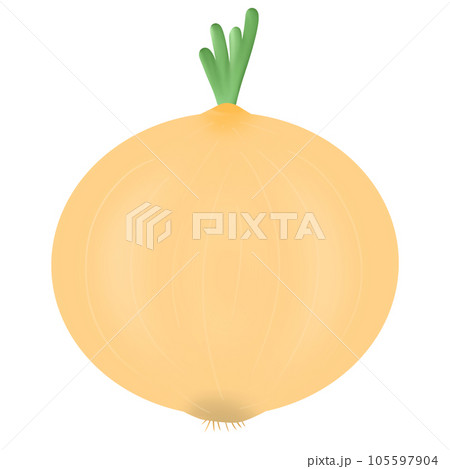 onion 105597904