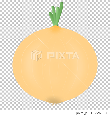 onion 105597904