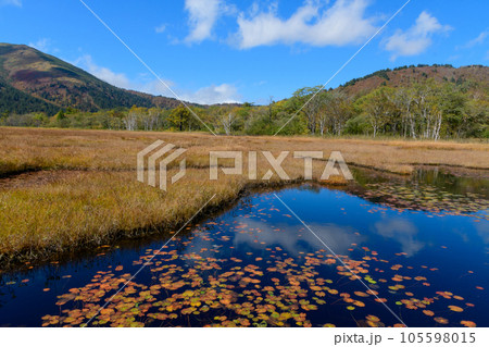 紅葉と水鏡 105598015