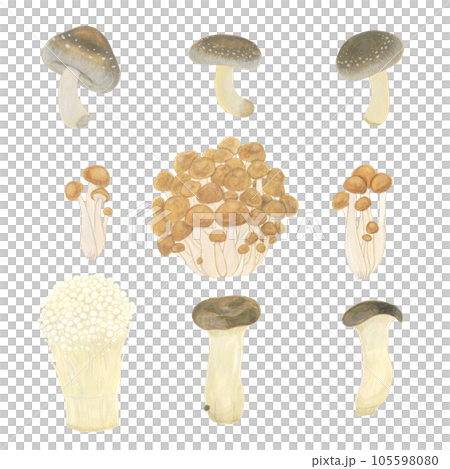 各種蘑菇水彩手繪插畫素材 105598080