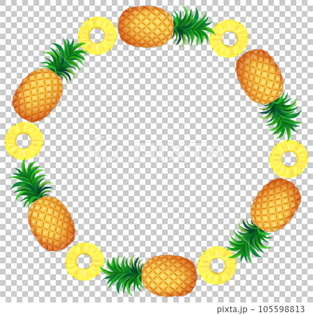 パイナップル 円形フレームのイラスト素材 [105598813] - PIXTA