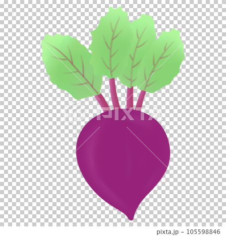 beetroot 105598846