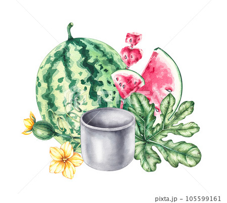 Watercolor hand drawn watermelon composition 105599161