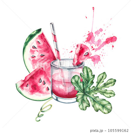 Watercolor hand drawn watermelon composition 105599162