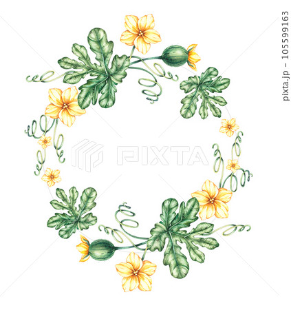 Watercolor hand drawn watermelon wreath 105599163