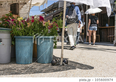 230804宮川朝市z149 105600974