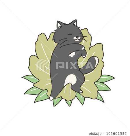 へそ転して寝ている黒猫 105601532