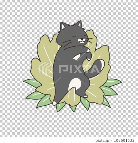 へそ転して寝ている黒猫 105601532