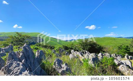 夏の秋吉台カルスト大地、山口県美祢市 105601574