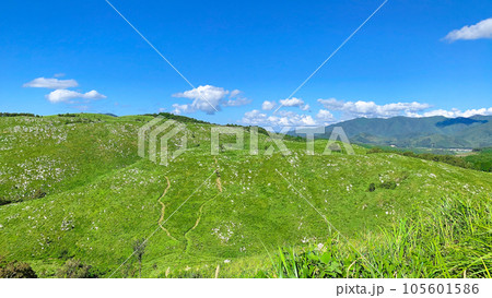 夏の秋吉台カルスト大地、山口県美祢市 夏の秋吉台カルスト大地、山口県美祢市 105601586