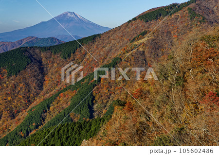 紅葉の丹沢表尾根から見る富士山 105602486