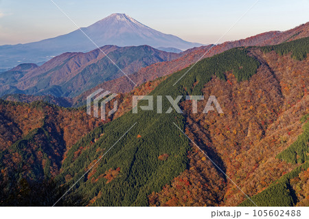 紅葉の丹沢表尾根から見る富士山 紅葉の丹沢表尾根から見る富士山 105602488