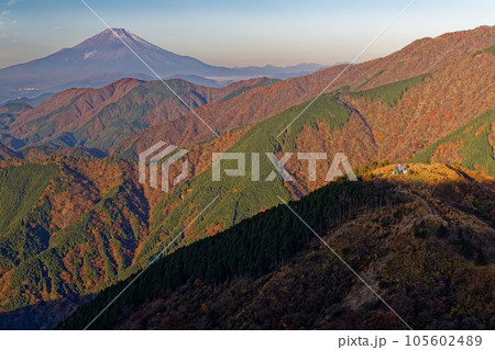 紅葉の丹沢表尾根から見る富士山 紅葉の丹沢表尾根から見る富士山 105602489