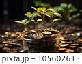 Investment concept, Coins on the table, business growth concept. 105602615
