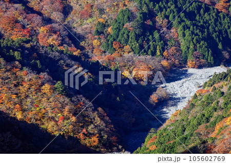 丹沢山地・塔ノ岳から見下ろす紅葉のユーシン渓谷 105602769