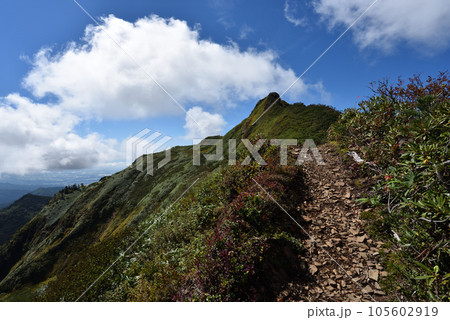 上州武尊山登山、川場村、群馬県 上州武尊山登山、川場村、群馬県 105602919