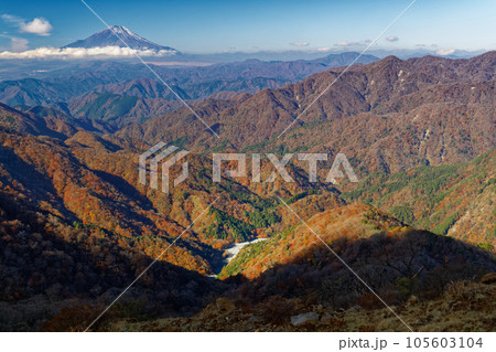 丹沢山地・塔ノ岳から見る紅葉の山並みと富士山 105603104