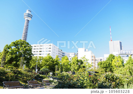 山下公園 105603228