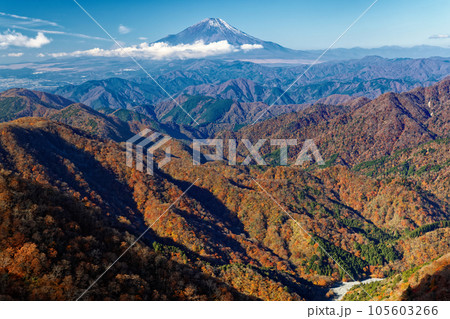 丹沢山地・塔ノ岳から見る紅葉の山並みと富士山 105603266