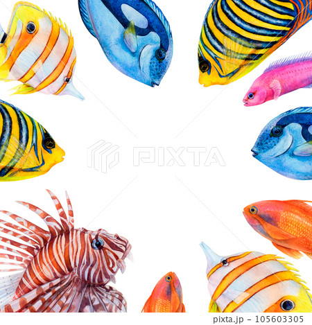 ネイチャーアート「ミノカサゴ」水彩画