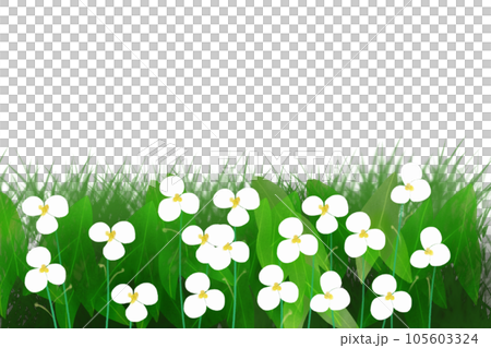 面高（オモダカ）の花のカード1 105603324
