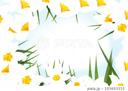 イキシアの花のカード9 105603355