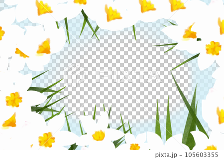 イキシアの花のカード9 105603355