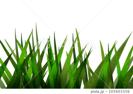 イキシアの葉のカード 105603356