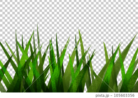 イキシアの葉のカード 105603356