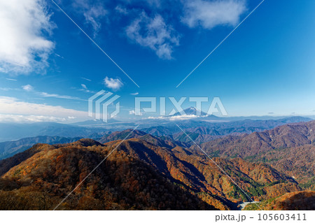 丹沢山地・塔ノ岳から見る紅葉の山並みと富士山 丹沢山地・塔ノ岳から見る紅葉の山並みと富士山 105603411