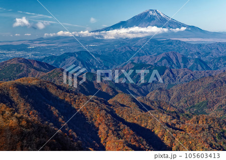 丹沢山地・塔ノ岳から見る紅葉の山並みと富士山 105603413
