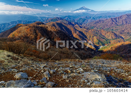 丹沢山地・塔ノ岳から見る紅葉の山並みと富士山 105603414