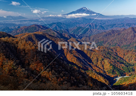 丹沢山地・塔ノ岳から見る紅葉の山並みと富士山 105603418