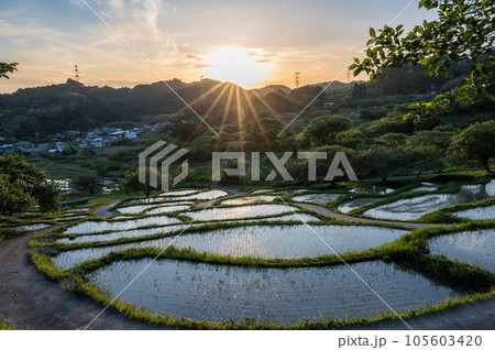 せんがまちの棚田 105603420
