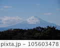 木々と富士山 105603478