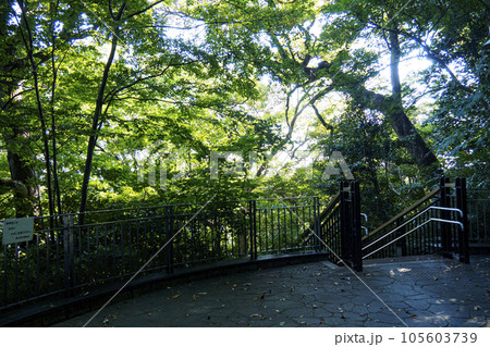 港の見える丘公園・山手111番館・横浜市イギリス館 港の見える丘公園・山手111番館・横浜市イギリス館 105603739