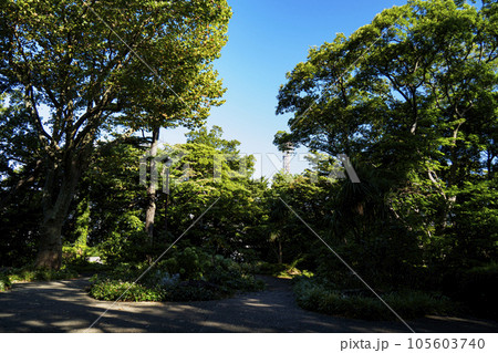 港の見える丘公園・山手111番館・横浜市イギリス館 港の見える丘公園・山手111番館・横浜市イギリス館 105603740
