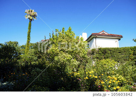 港の見える丘公園・山手111番館・横浜市イギリス館 105603842
